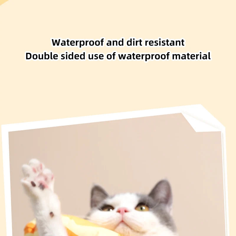 Soft Cat Recovery Cone – Comfortable Elizabethan Collar for Cats | Anti-Lick, Post-Surgery Wound Healing Neck Cone