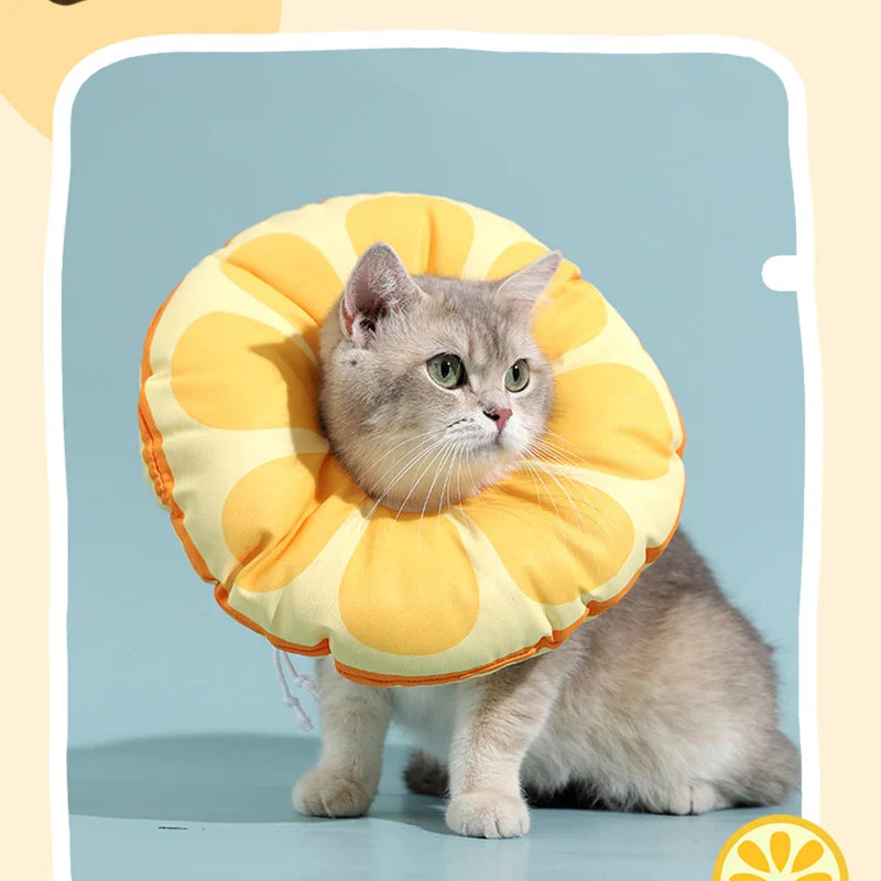 Soft Cat Recovery Cone – Comfortable Elizabethan Collar for Cats | Anti-Lick, Post-Surgery Wound Healing Neck Cone